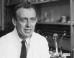 James Watson’s Nobel Prize Fetches Record Sum At Auction