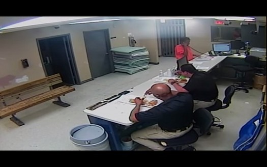 Reading the Pictures: State Proves Sandra Bland Not Dead in Her Mug Shot — Helpful as Honey on a Biscuit